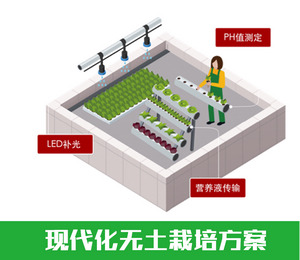 智慧農(nóng)業(yè)|農(nóng)業(yè)物聯(lián)網(wǎng)智能無土栽培|山東農(nóng)業(yè)自動(dòng)化節(jié)水灌溉