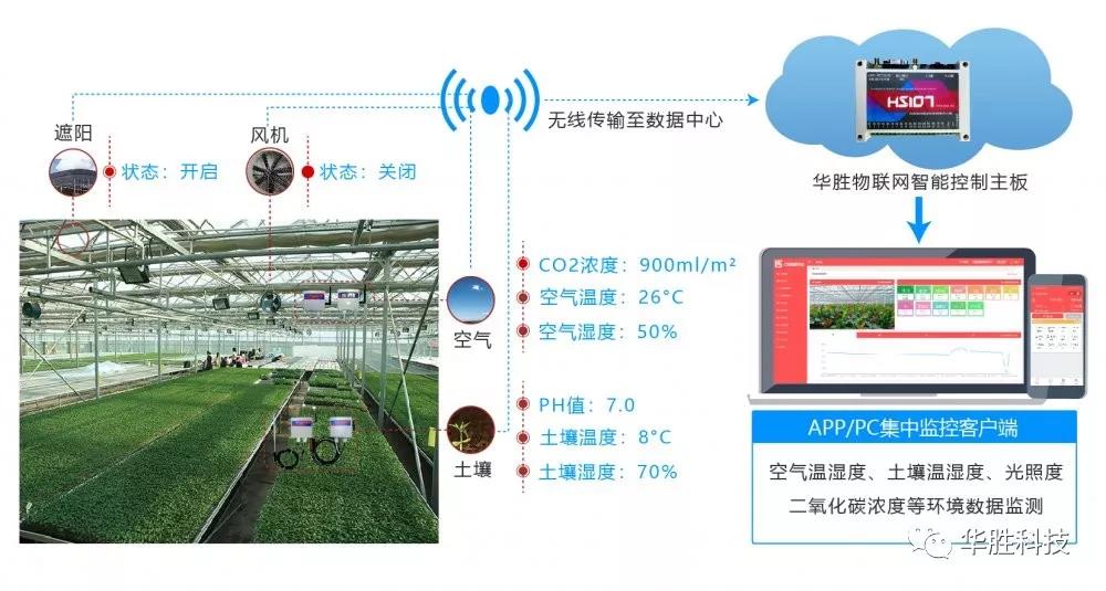 溫室大棚自動化是管理好大棚的關(guān)鍵