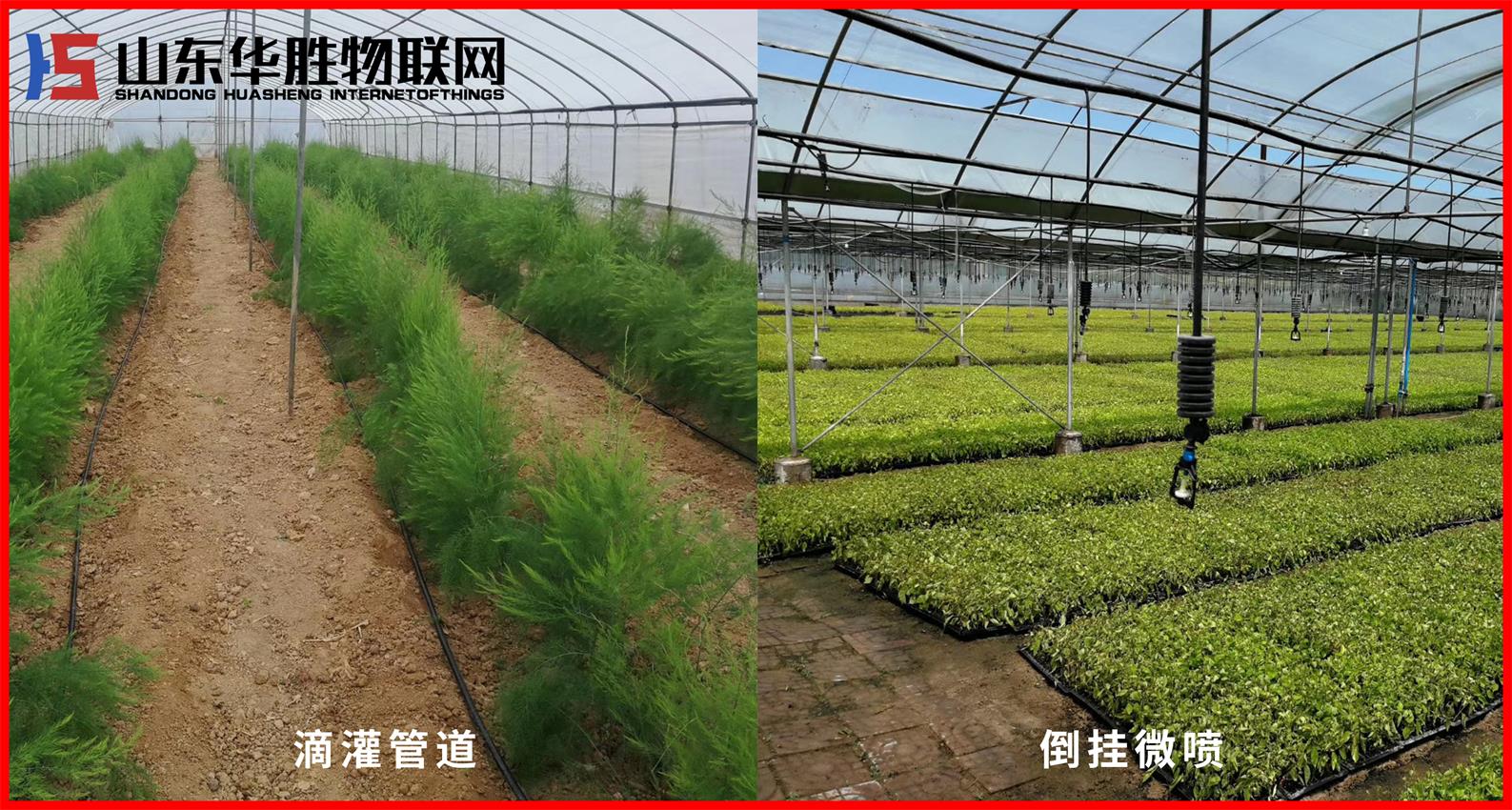 農(nóng)業(yè)物聯(lián)網(wǎng)智能水肥一體機解決方案