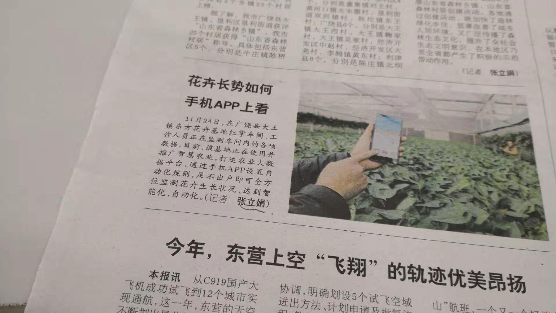 大王“東方花卉”實現(xiàn)物聯(lián)網自動化控制|溫室自動化設備