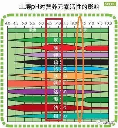 土壤的三大“殺手” 直接影響肥效和作物生長，90％的人都不知道！