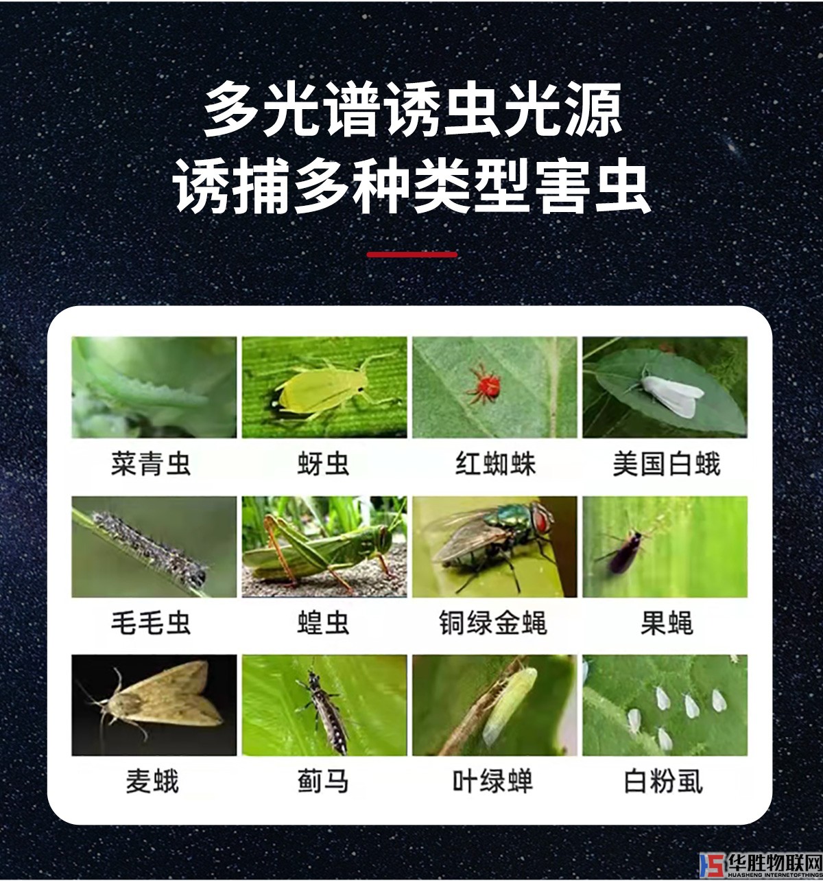 風(fēng)吸式殺蟲(chóng)燈