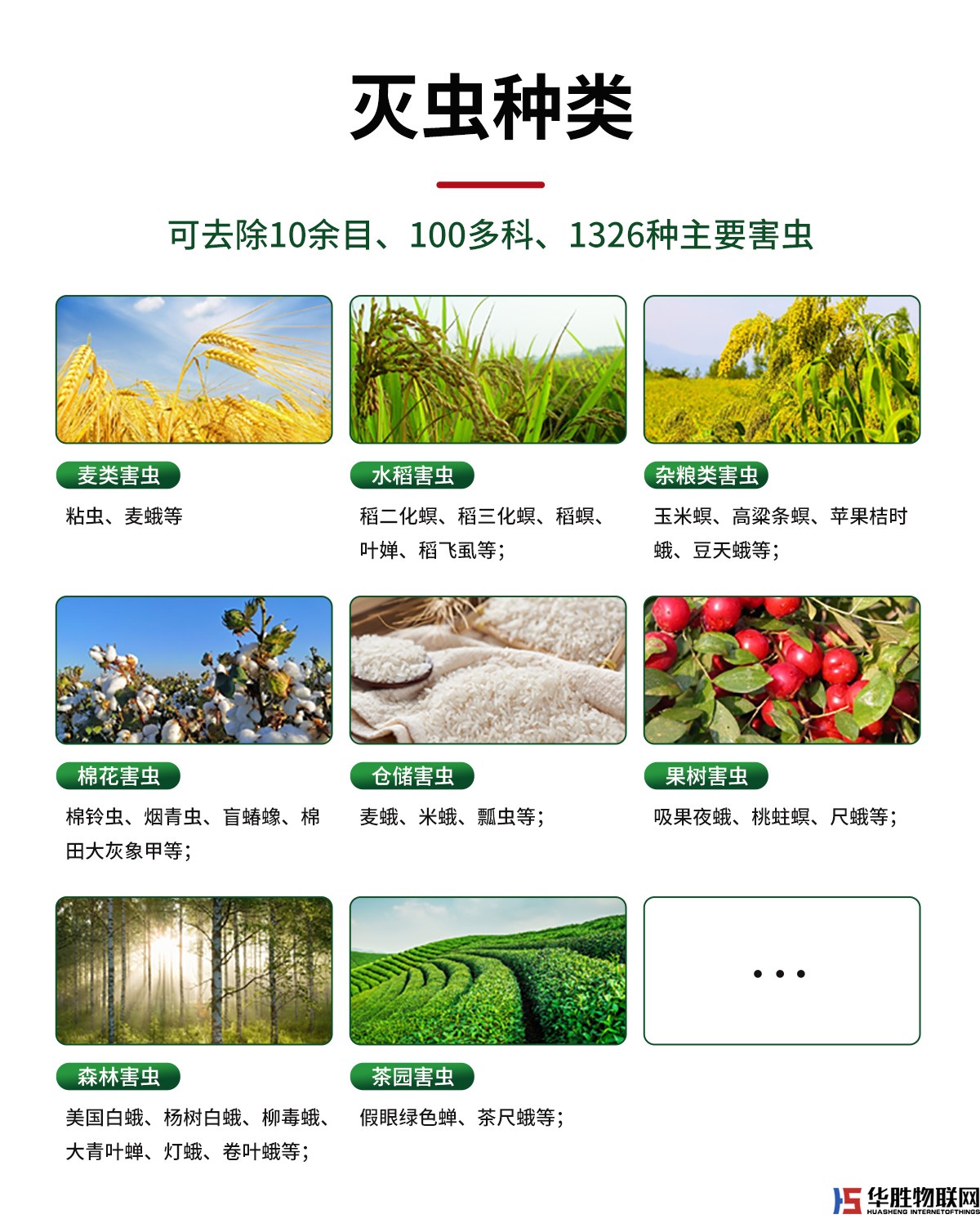 風(fēng)吸式殺蟲(chóng)燈