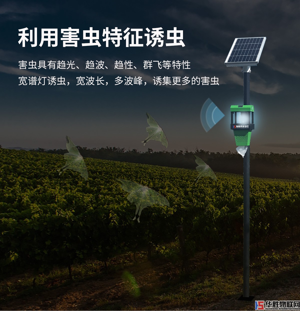 風(fēng)吸式殺蟲(chóng)燈