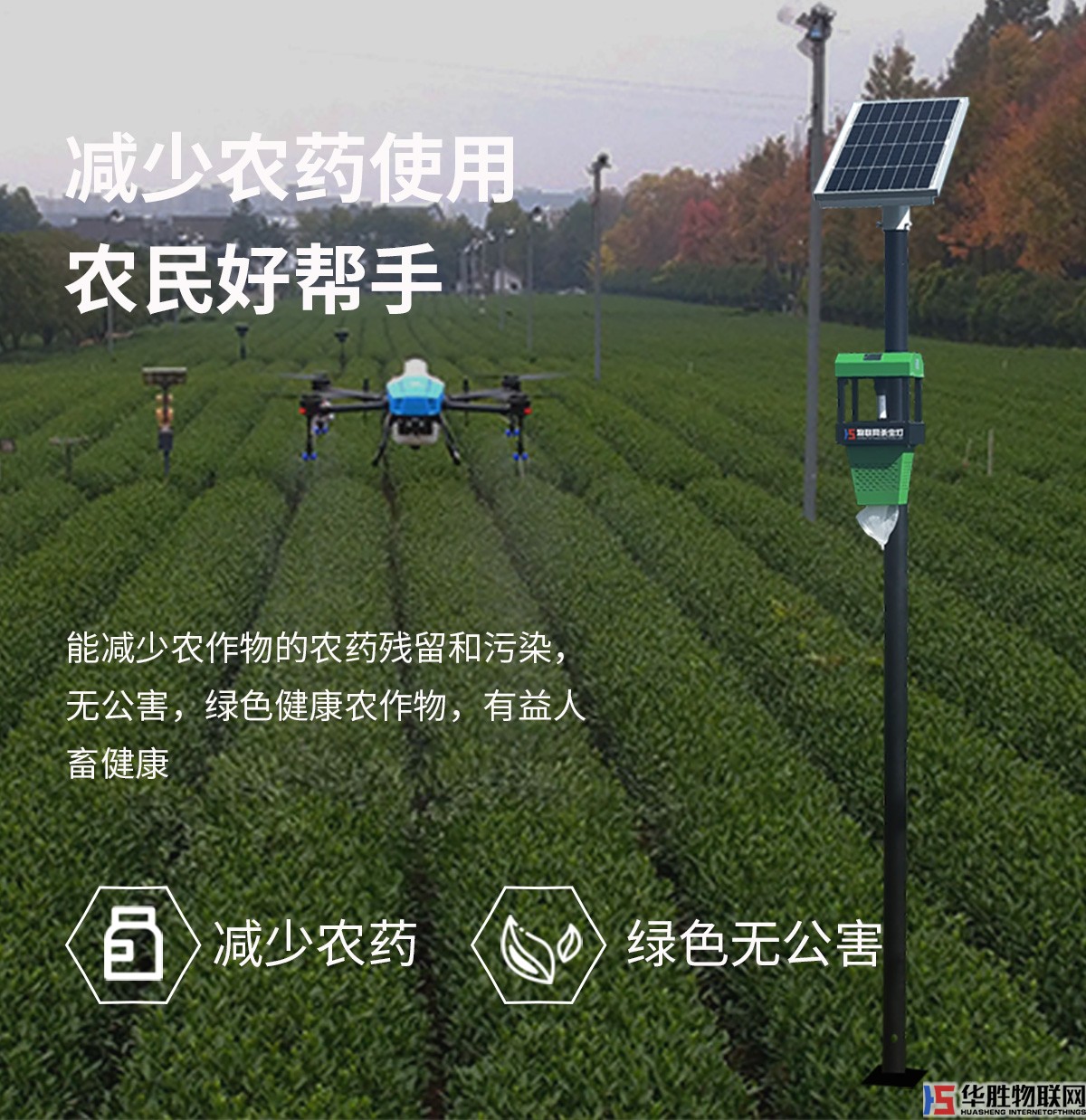 風(fēng)吸式殺蟲(chóng)燈