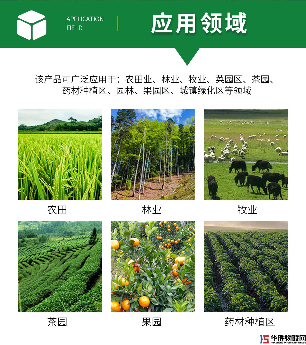 風(fēng)吸式殺蟲(chóng)燈