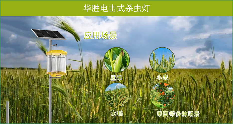 您還在愁怎么殺蟲嗎？來看看華勝電擊式殺蟲燈（HS-DJSC-M）?。?！